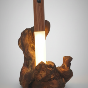 Unikatna Skulpturalna Lampa "Wild Nature"